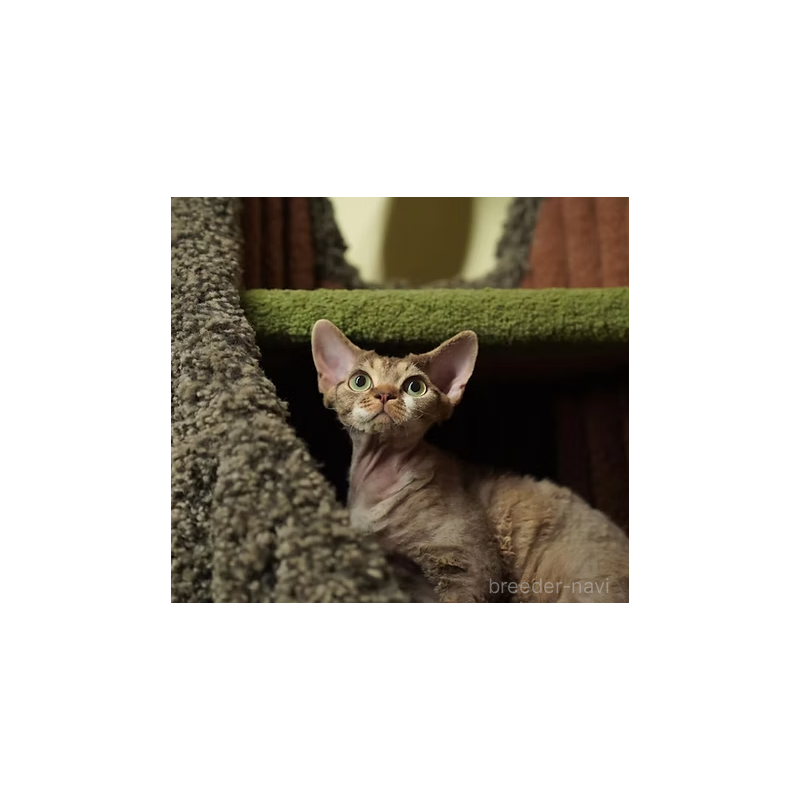 Saraちゃん1枚目