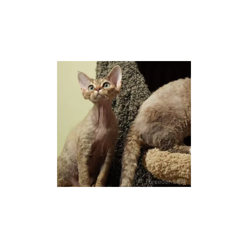 Rinaちゃん1枚目