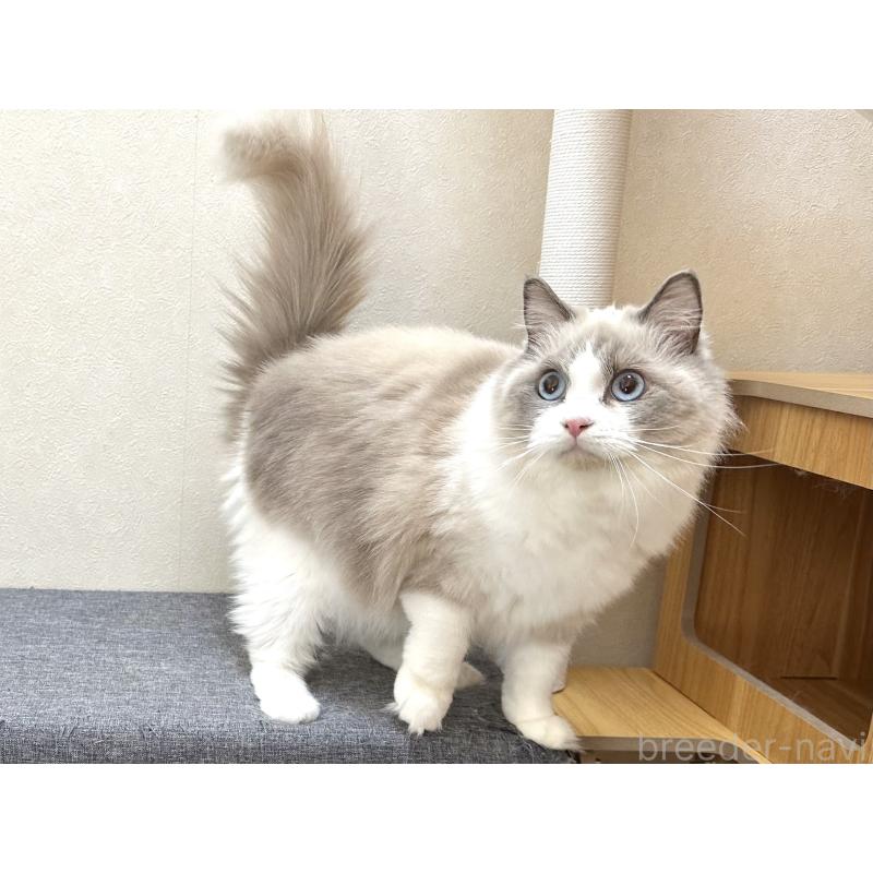 ココちゃん1枚目