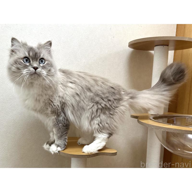 レオンくん1枚目