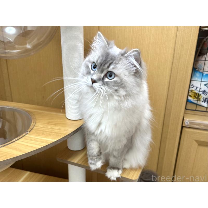 レオンくん1枚目