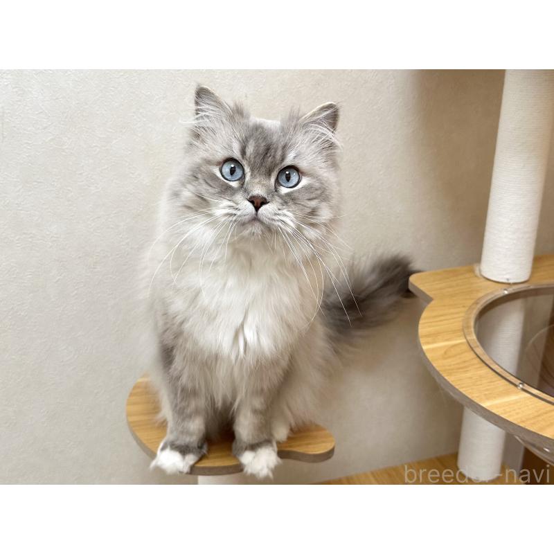 レオンくん1枚目