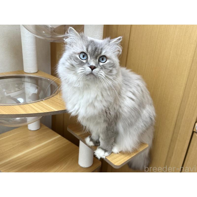 レオンくん1枚目