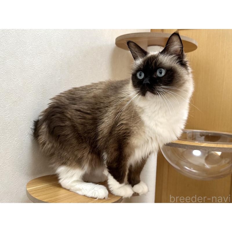 モカちゃん1枚目