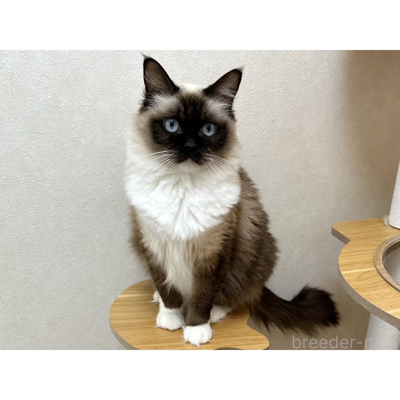 モカちゃん1枚目