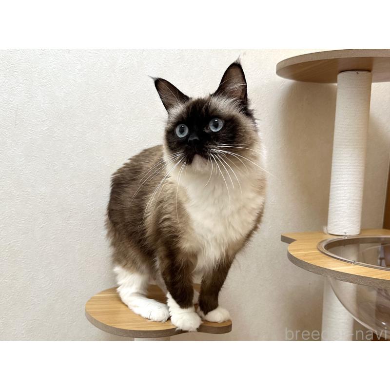 モカちゃん1枚目