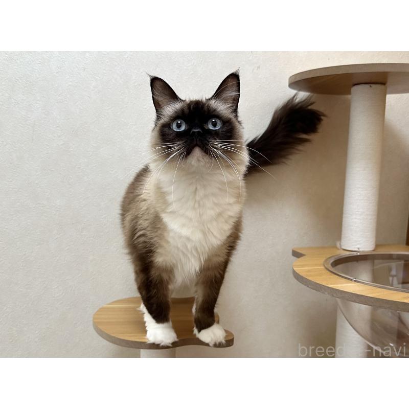 モカちゃん1枚目