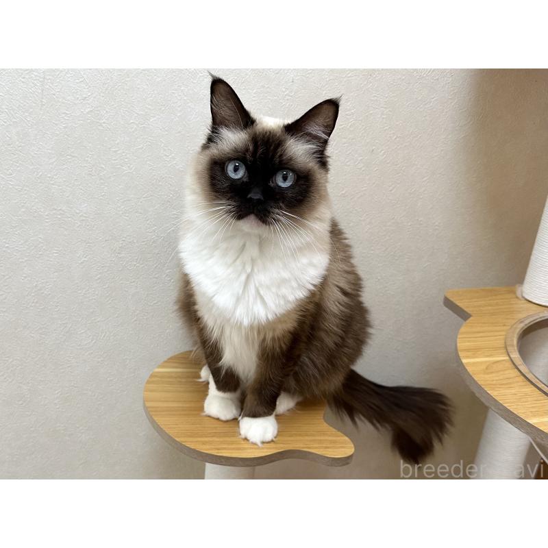 モカちゃん1枚目