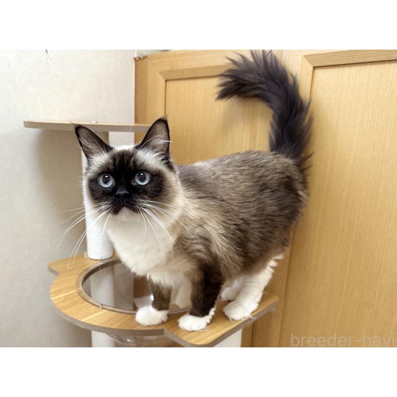 モカちゃん1枚目