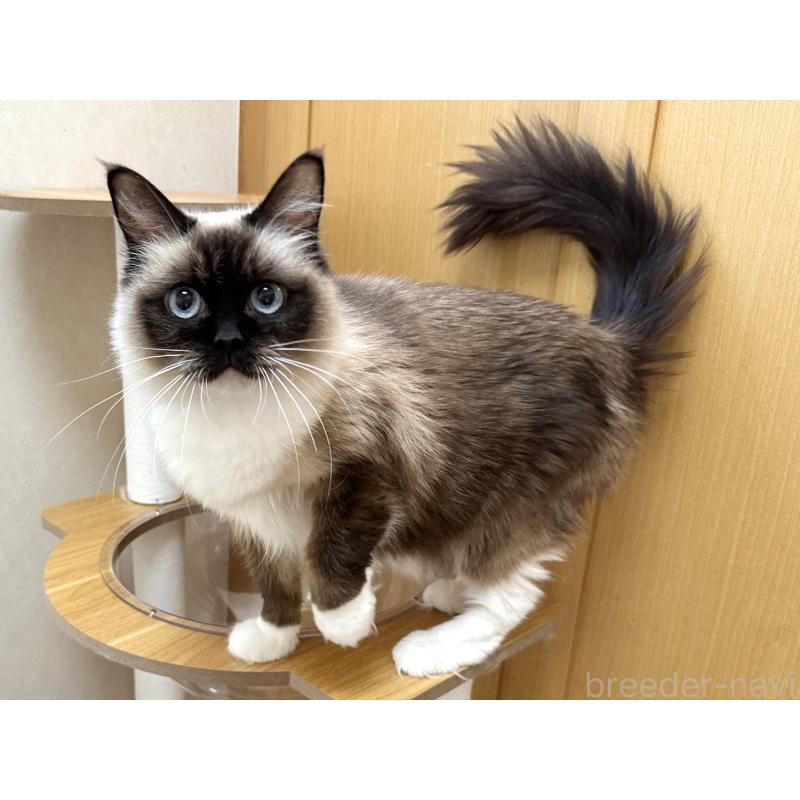 モカちゃん1枚目