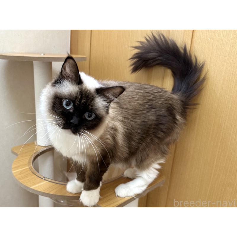 モカちゃん1枚目