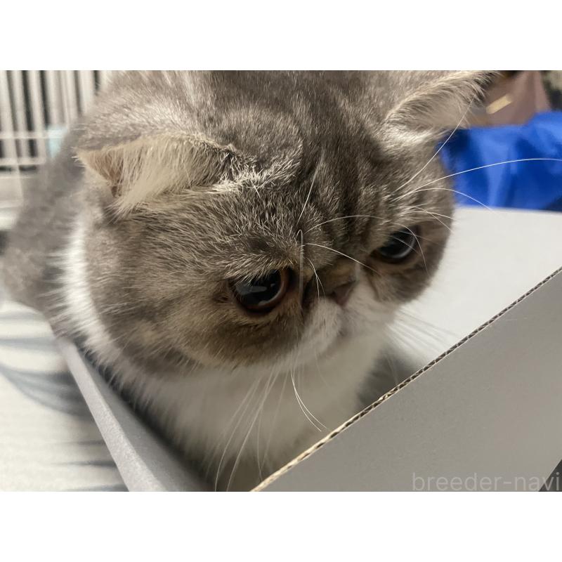 かふちゃん1枚目