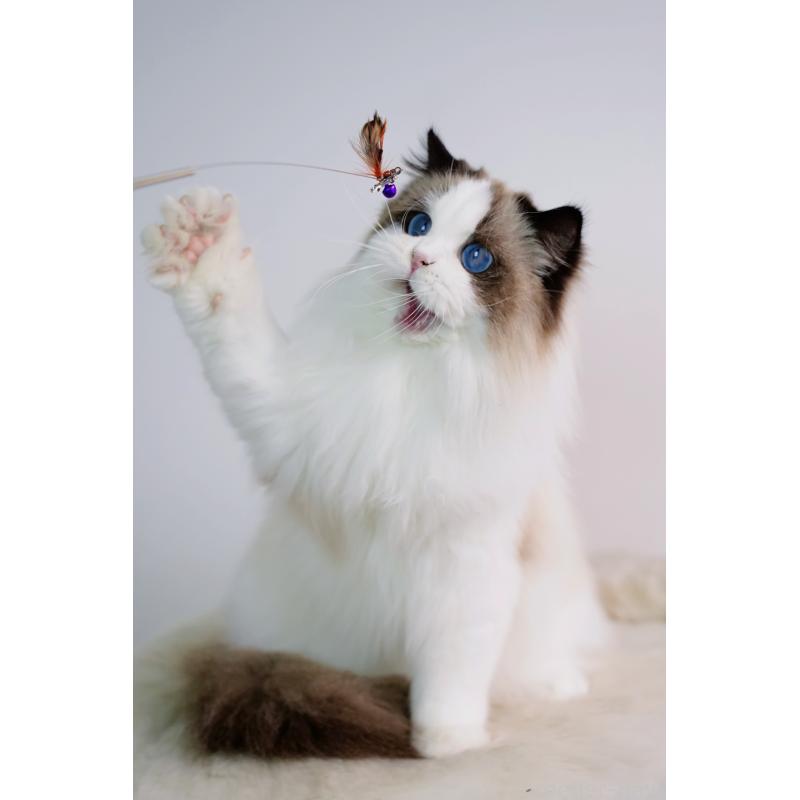 TANG TUANくん1枚目