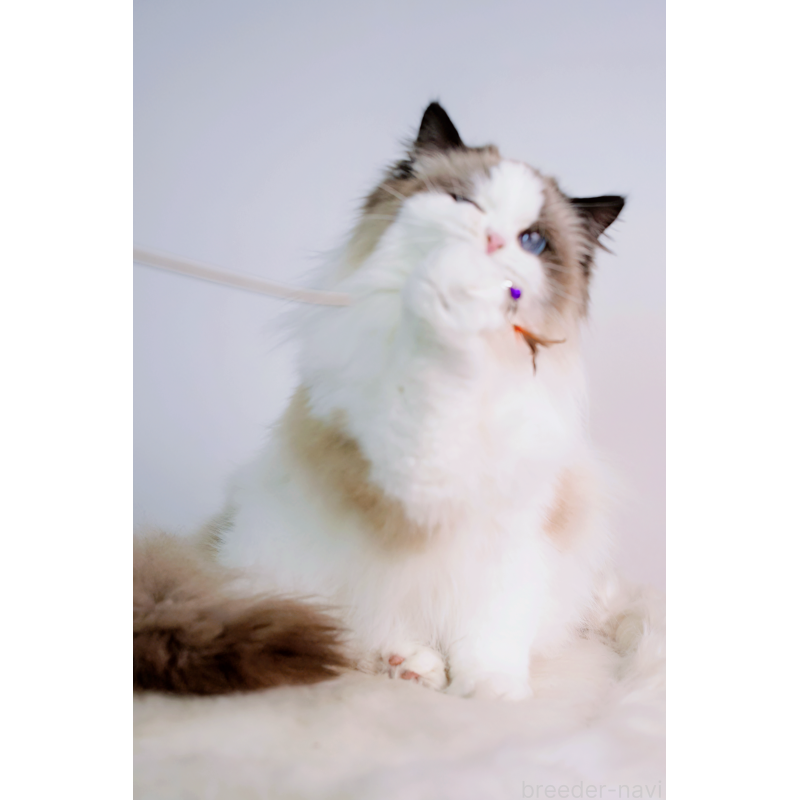 TANG TUANくん1枚目