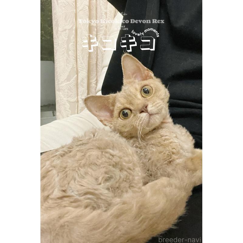 NIENIEちゃん1枚目