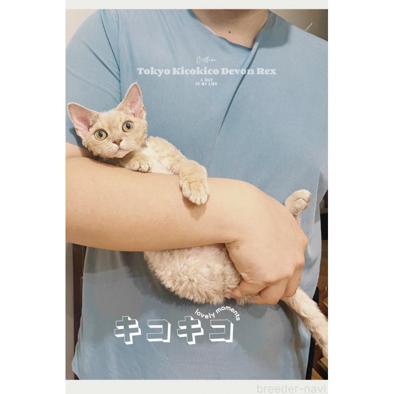 NIENIEちゃん1枚目