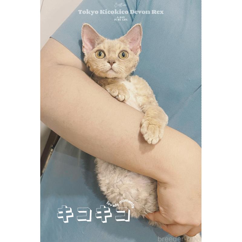 NIENIEちゃん1枚目