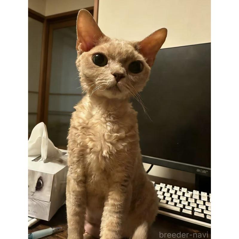 NIENIEちゃん1枚目