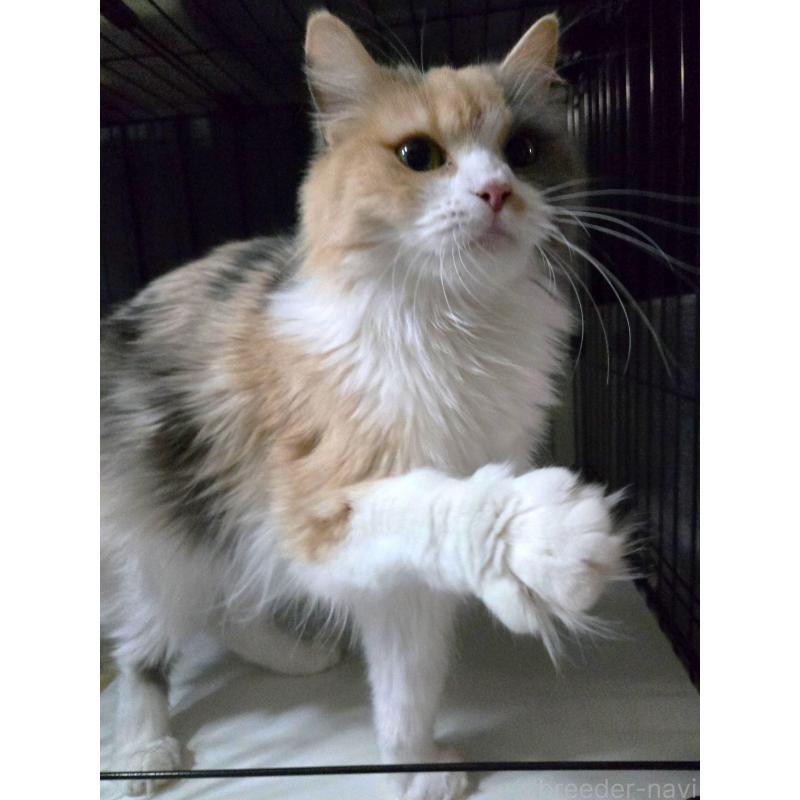 メルちゃん1枚目