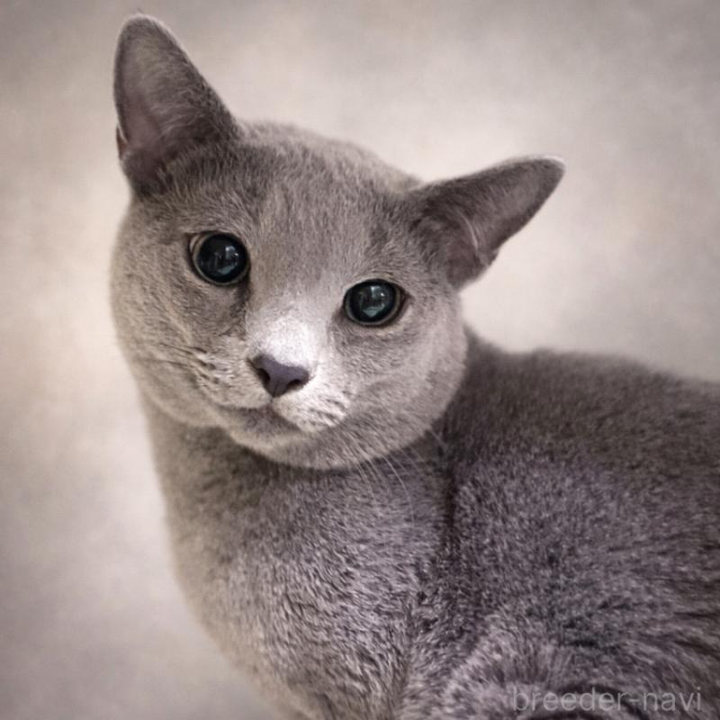 ひろしくん1枚目