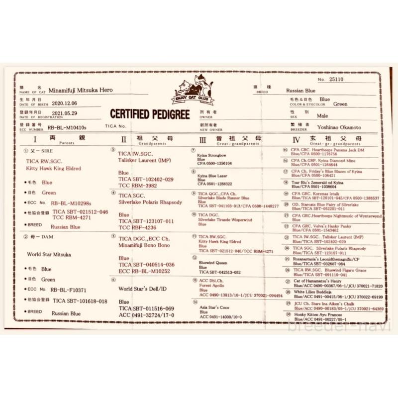 ひろしくん1枚目