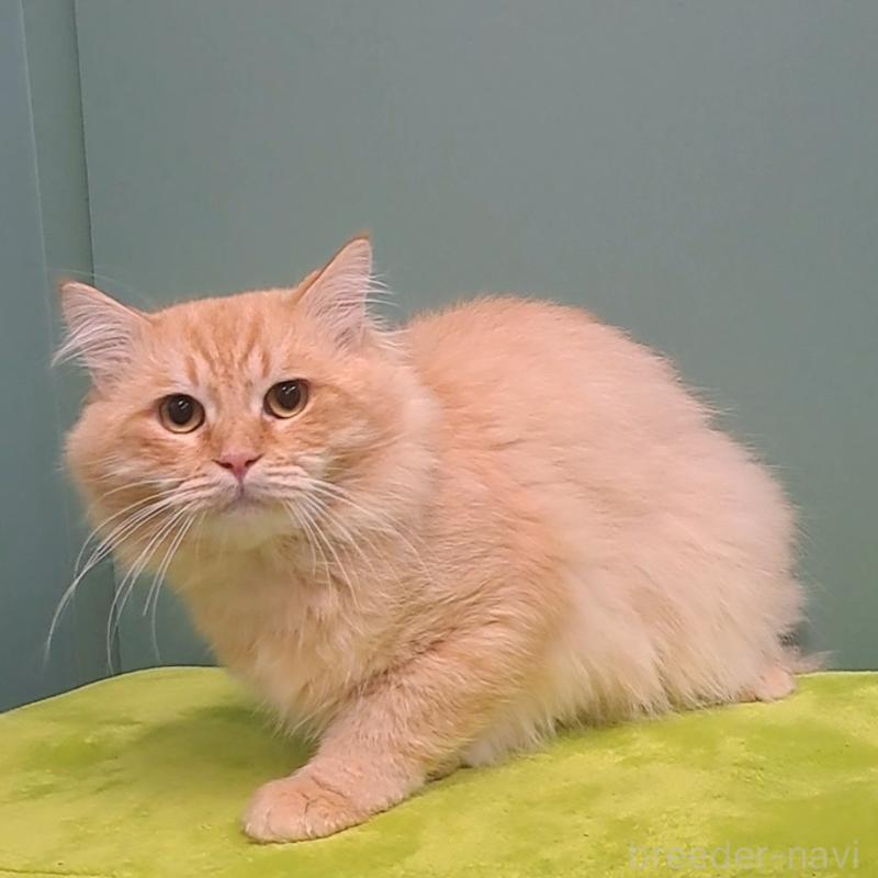 ちあきくん1枚目