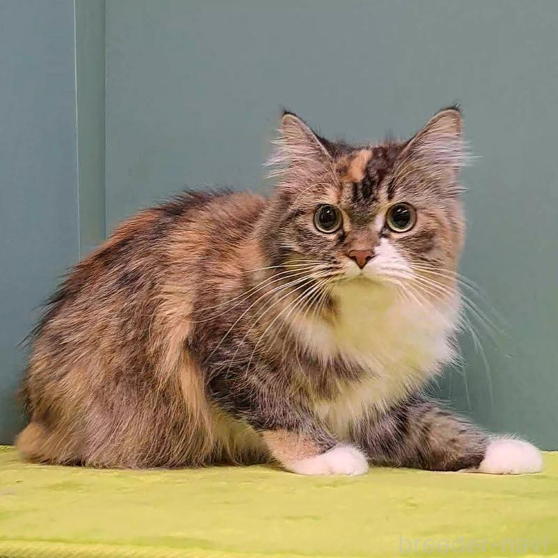 まゆうちゃん1枚目