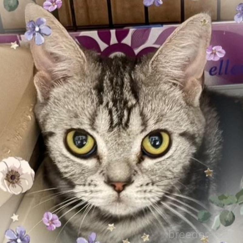 明日花ちゃん1枚目