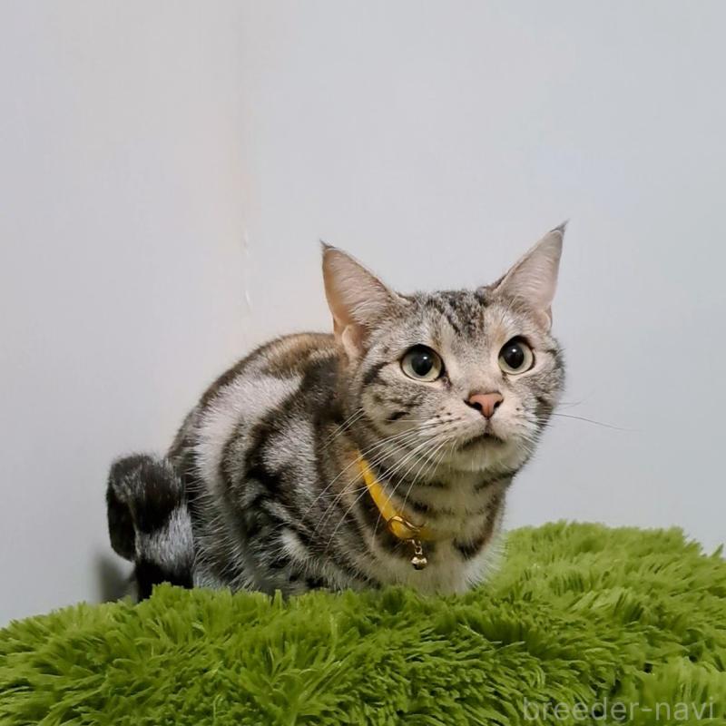 りりあんちゃん1枚目