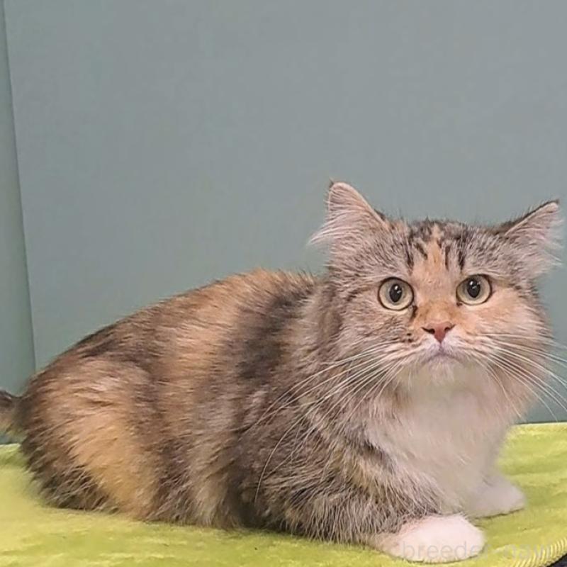 まひるちゃん1枚目