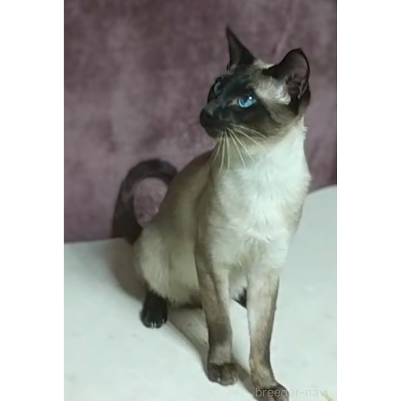 うづきくん1枚目