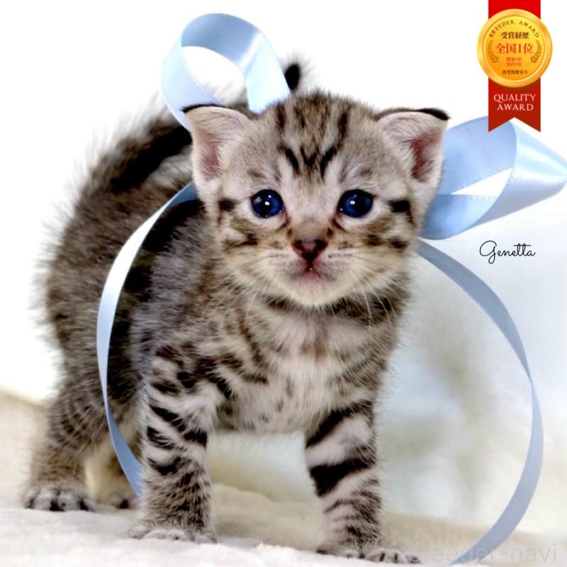 販売中の栃木県のジェネッタ-138677の10枚目