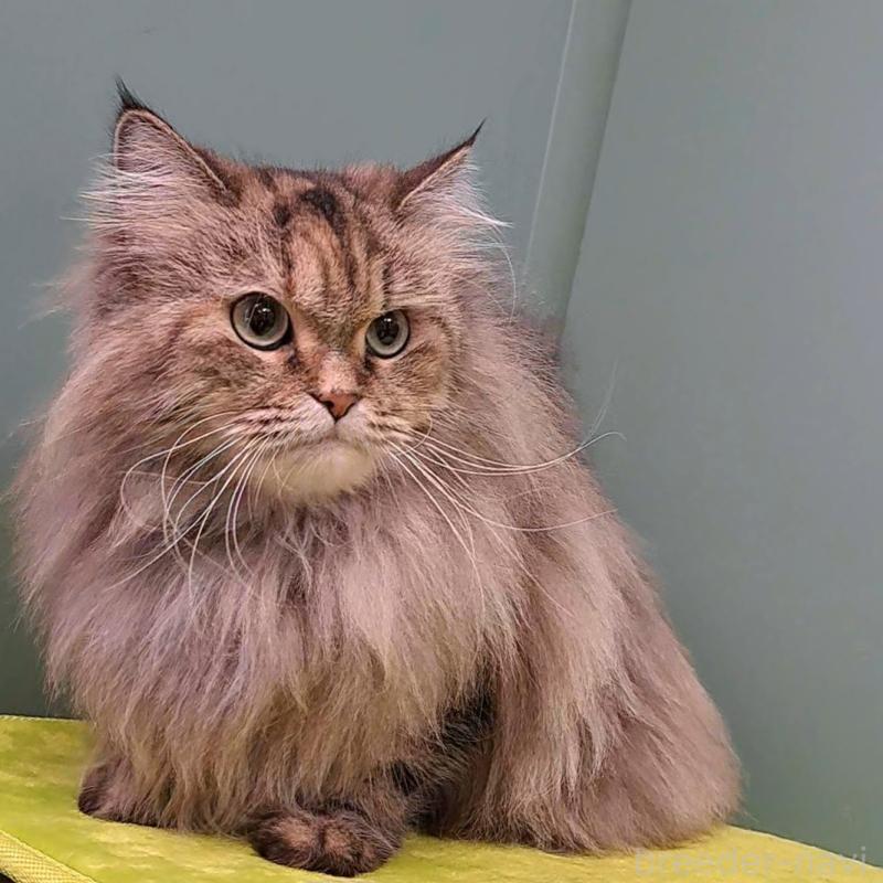 さやちゃん1枚目