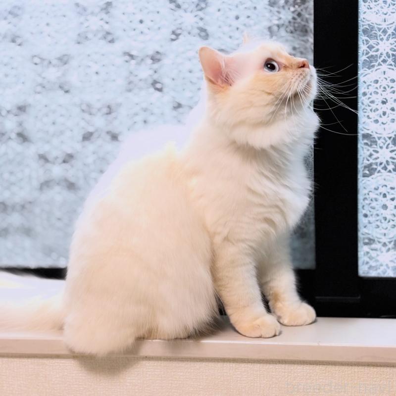 ゆきおくん1枚目