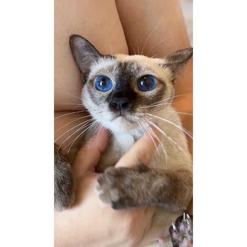 nonoちゃん1枚目