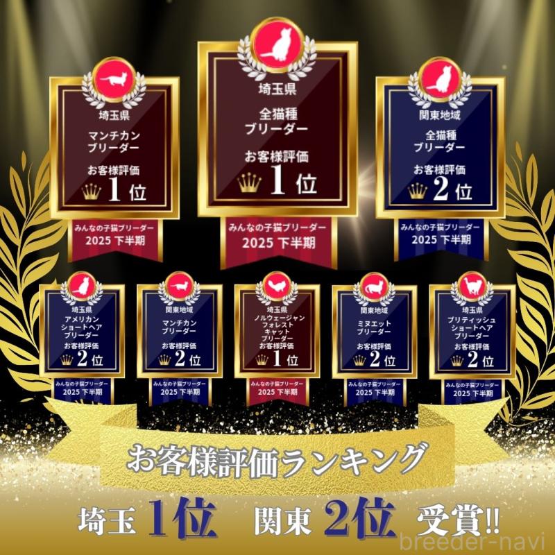 成約済の埼玉県のミヌエット-137254の3枚目