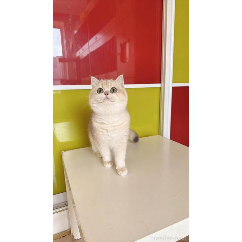 ルナちゃん1枚目