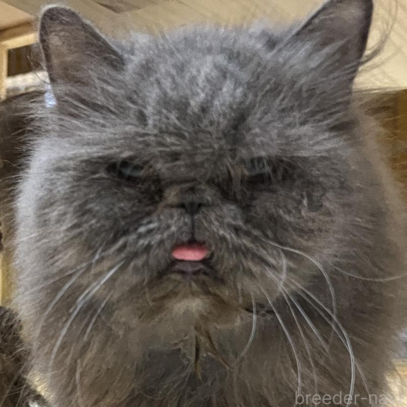 マギーちゃん1枚目