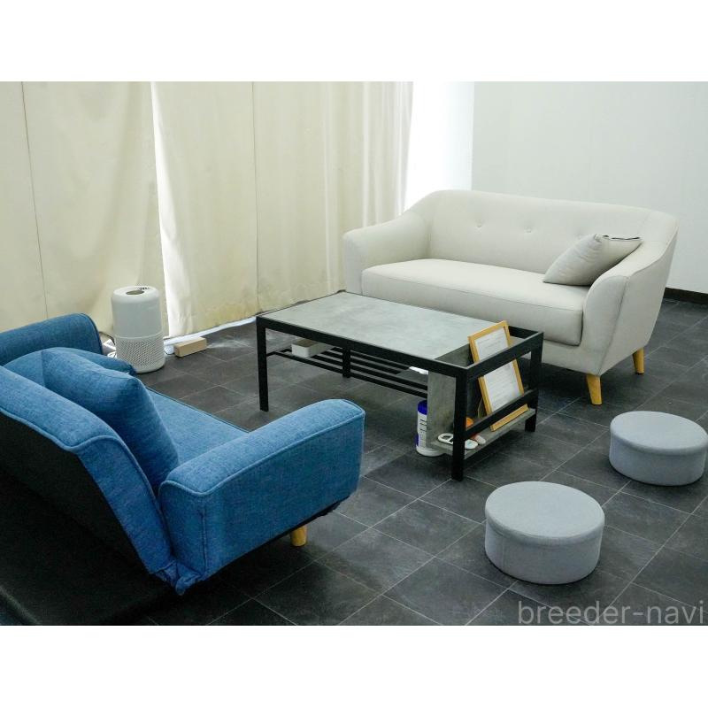 販売中の東京都のサイベリアン-140312の10枚目