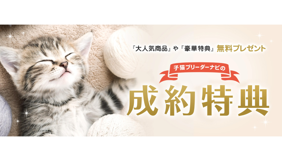 高い”お客様満足度”で選ばれる、マッチングサイト