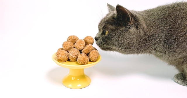 愛猫の健康は食事から！キャットフードの種類を解説。おすすめ商品もご紹介♪