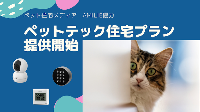 AMILIEアイキャッチ