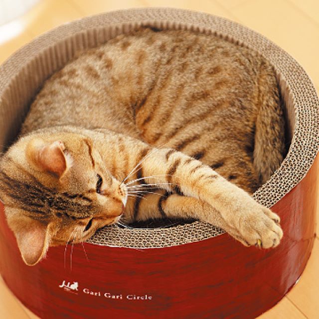 Gari Gari Circle Scratcher