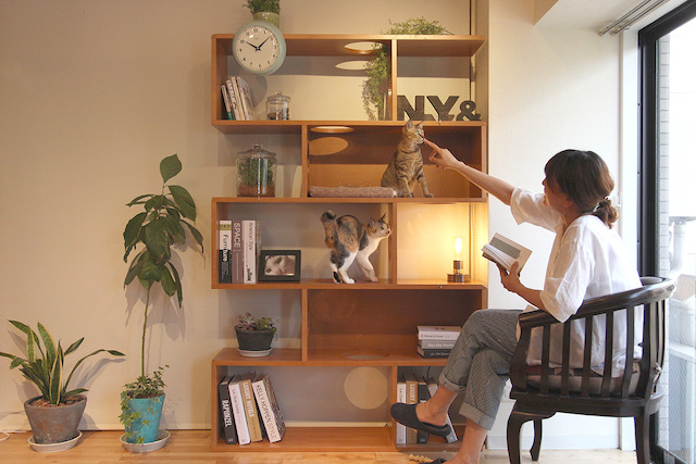 TREE SHELF, CAVE SHELF, ROOT SHELF