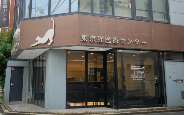 東京猫医療センター
