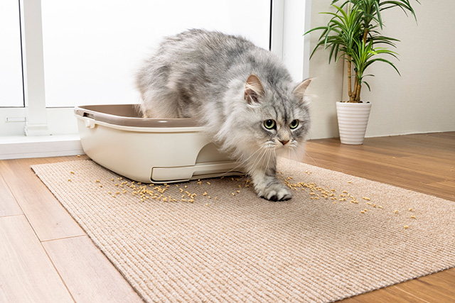 おくだけ吸着猫のトイレ下敷きマット