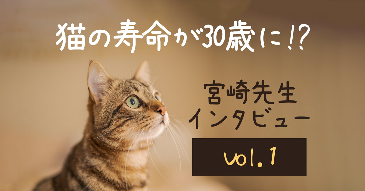 猫の寿命が30歳まで伸びる！？【第1回】腎臓病治療薬の実用化間近！開発者 宮崎先生インタビュー