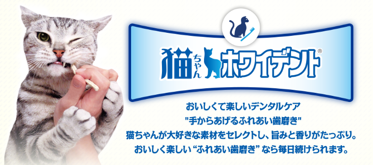 猫ちゃん用デンタルケアの未来を切り拓く！開発者に聞く「ホワイデントシリーズ」の魅力とこだわり