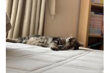 写真1222_2