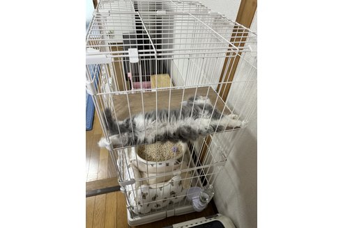 写真3540_1